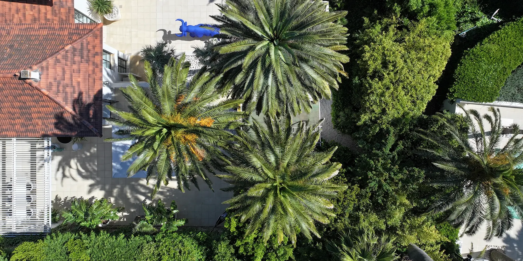 διακοπές στο Mandelieu-la-Napoule